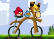 Angry Birds Bisiklet